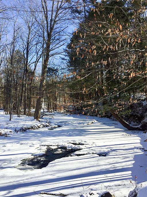 Photo of snow-covered creek, woods and blue skies
